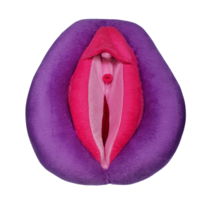 Vulva Didática Anis 5