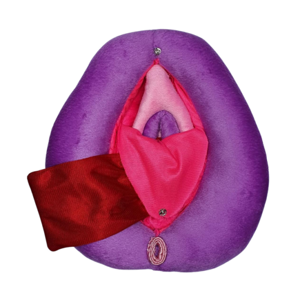 Vulva Didática Anis 3