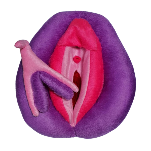 Vulva Didática Anis 1