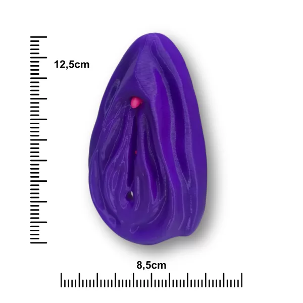 Kit Vulva Didática Educativa Pelúcia + Modelo 3D Anatômico - Image 11